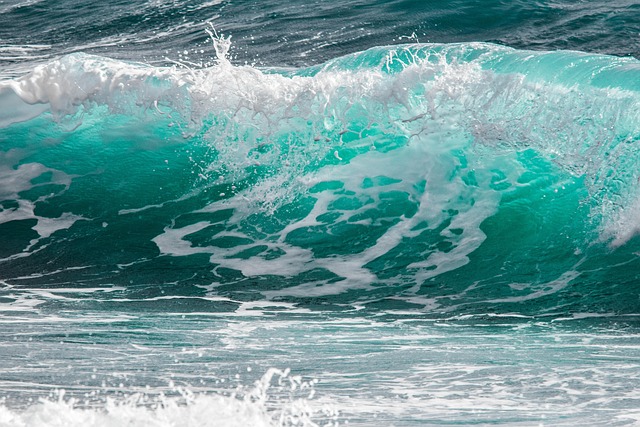 Climat : L’AMOC, courant océanique essentiel, pourrait voir son débit réduit de moitié d’ici 2100 – quelles implications pour notre planète ?