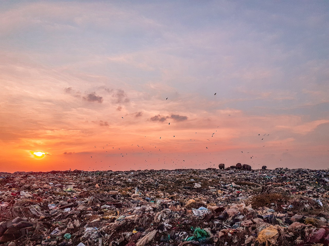 Comprendre la pollution numérique en entreprise : définitions, origines et stratégies d’atténuation