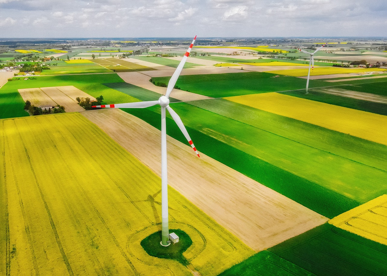 Écologie : 24 avancées encourageantes pour la planète en 2024