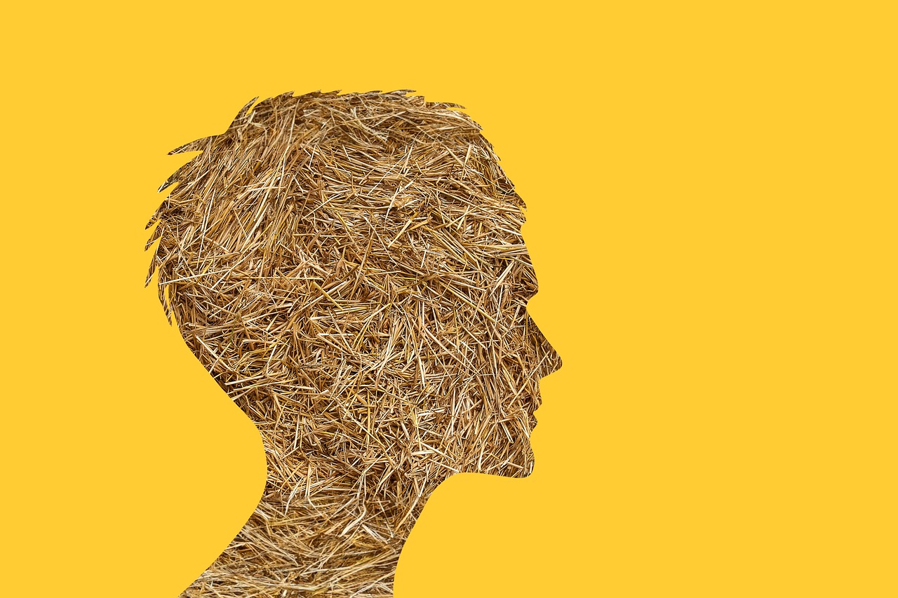 Les rouages de la désinformation sur l’écologie et le climat