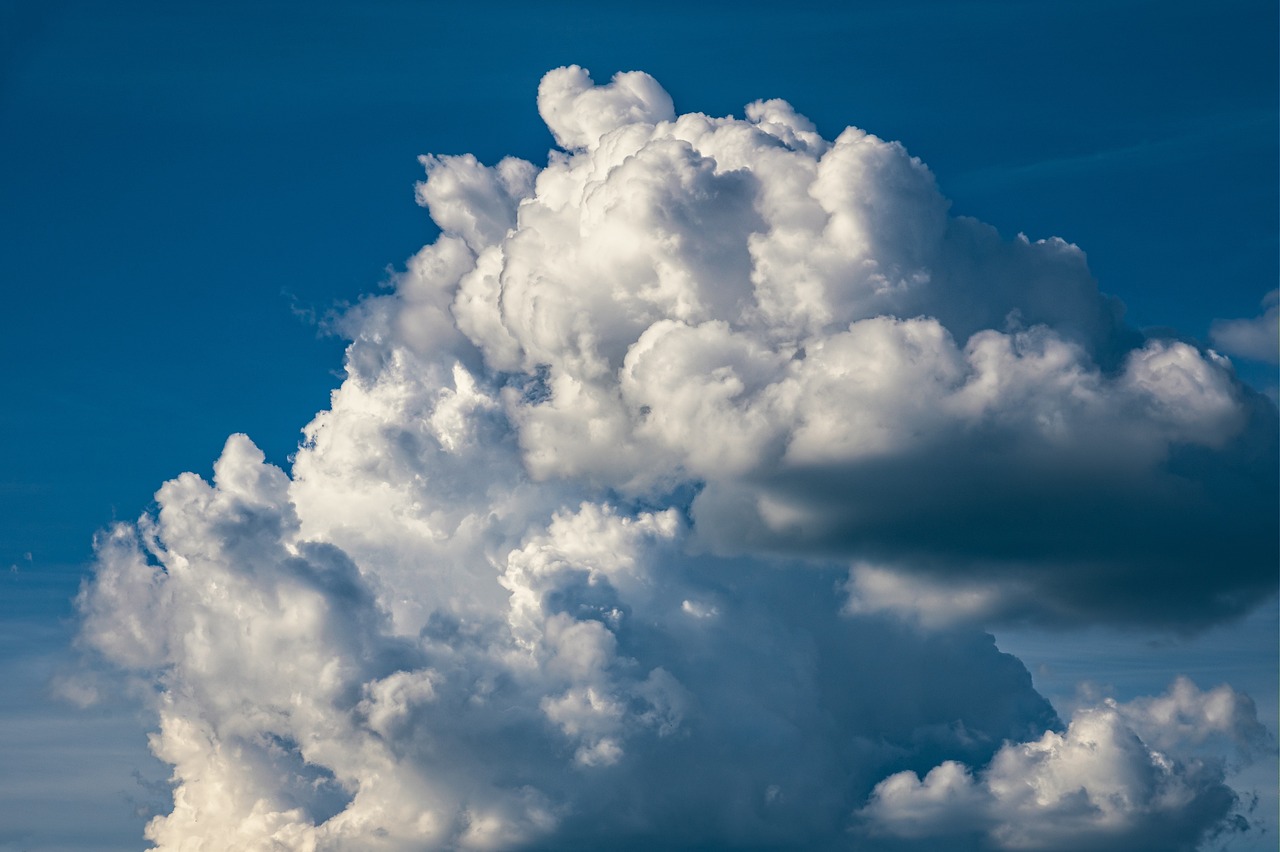 S’adapter aux fluctuations climatiques : l’impact des forums sur les prévisions climatiques