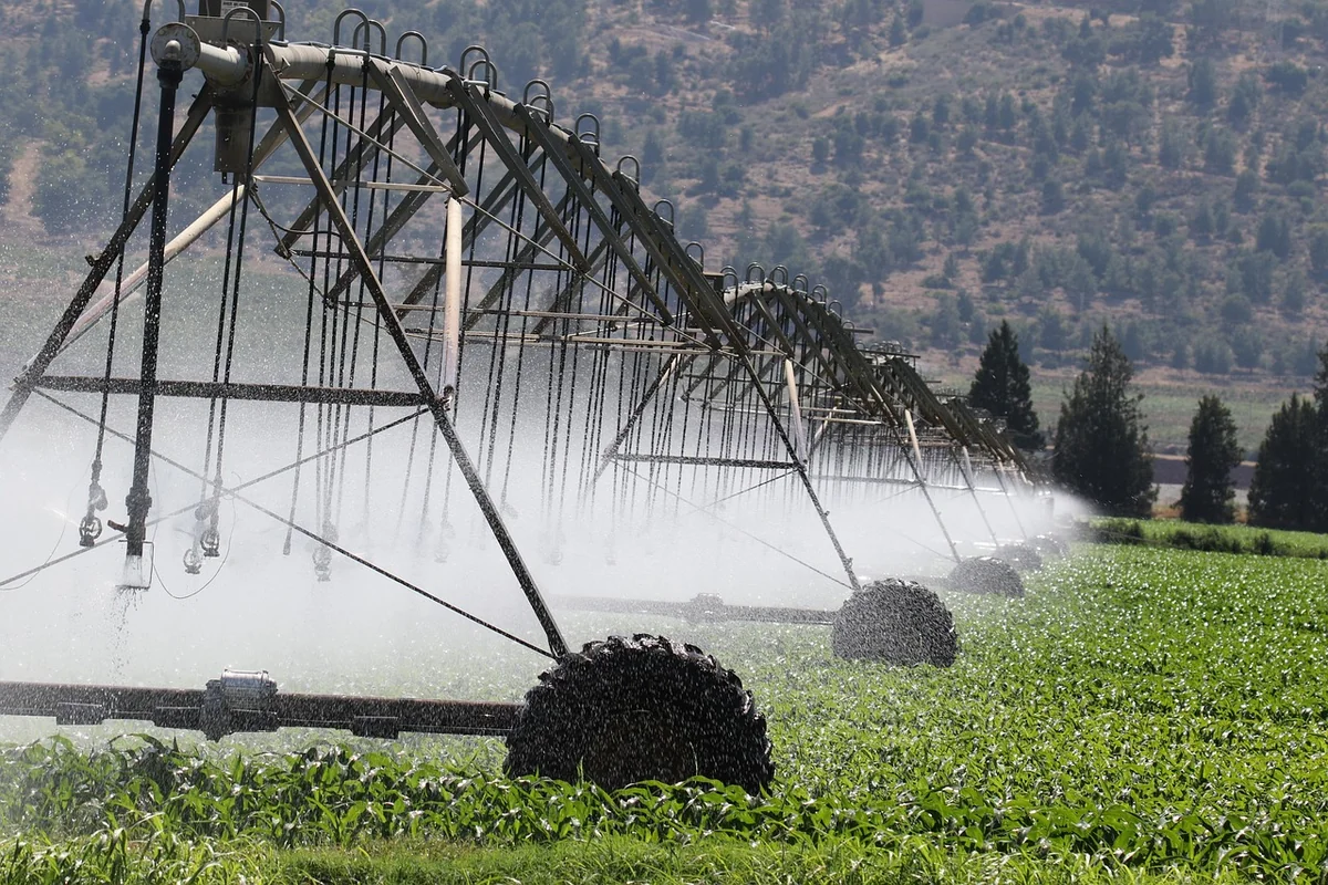 L'agriculture, cause ou victime ? Réponse : les deux