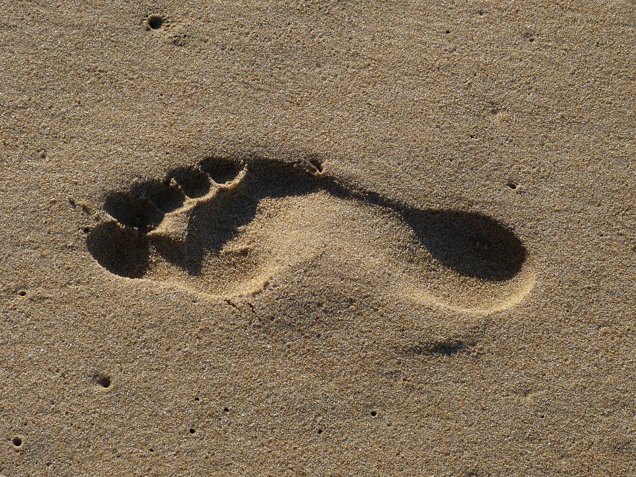 L’empreinte écologique et le changement climatique