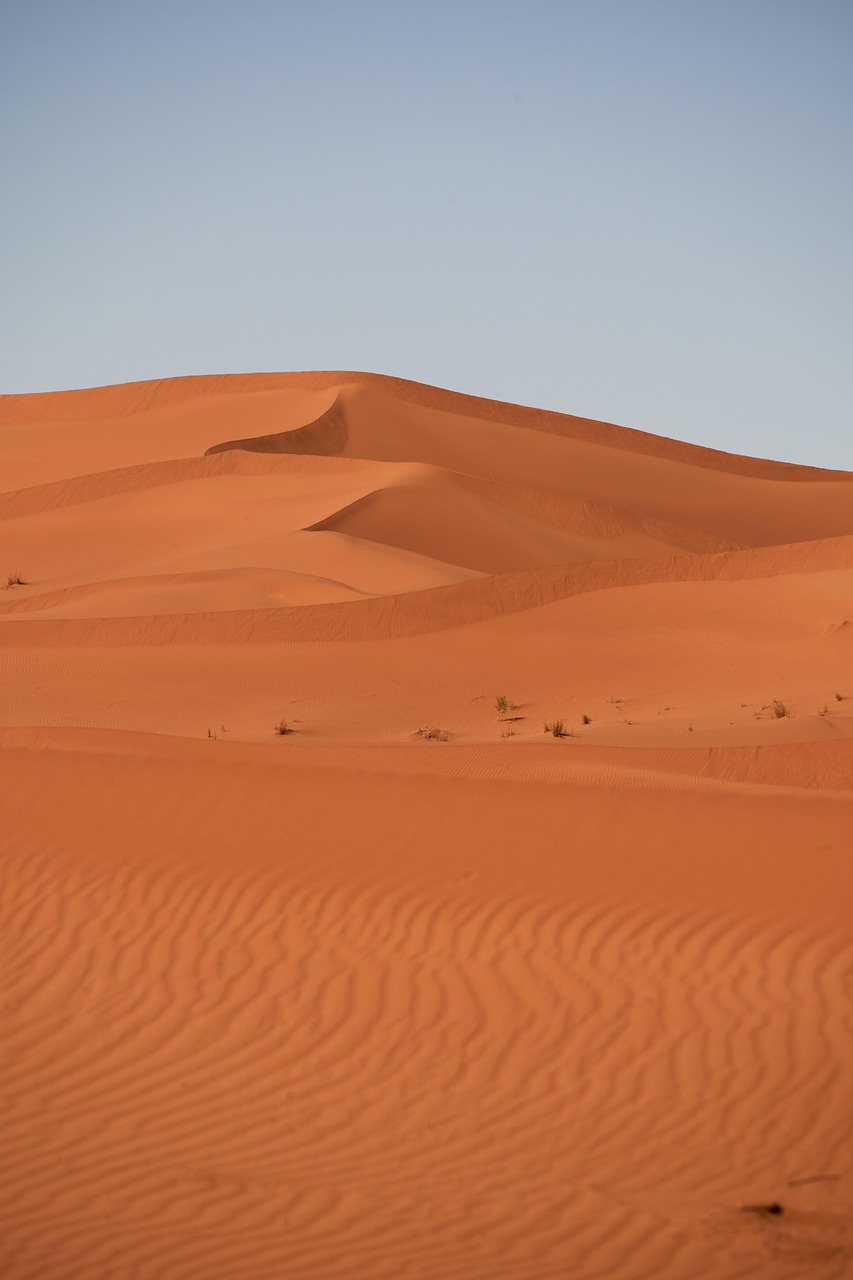 Renforcement de la dune d’Agon-Coutainville : un bouclier contre l’érosion et la pollution plastique