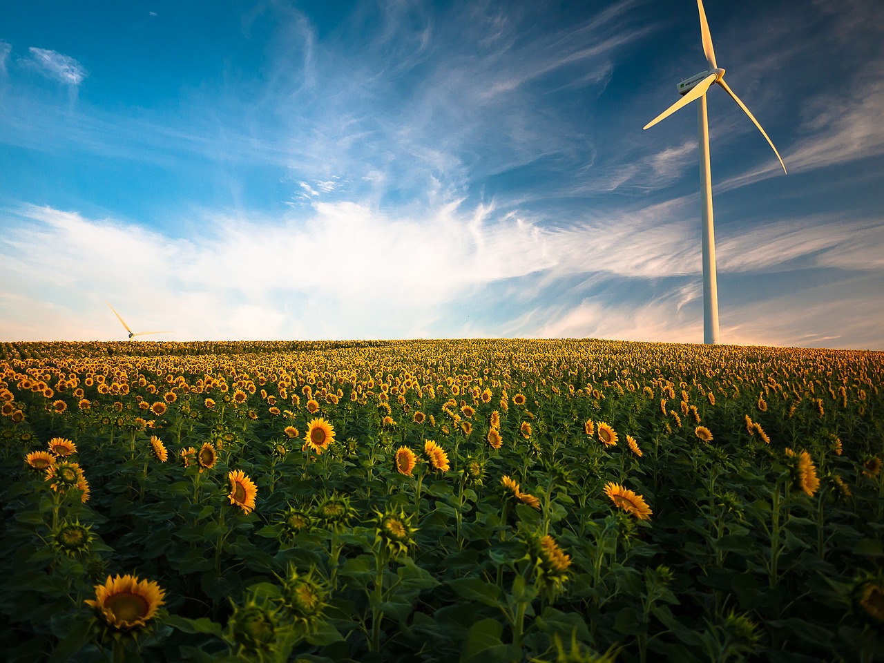 L’impact des énergies renouvelables sur le réchauffement climatique