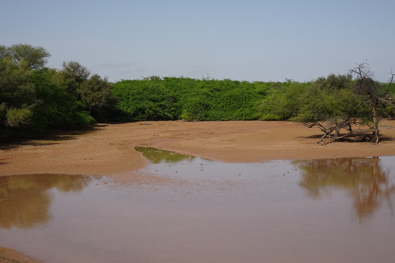 Plans d’eau : le Conseil d’État invalide des réglementations bafouant le principe de non-régression environnementale