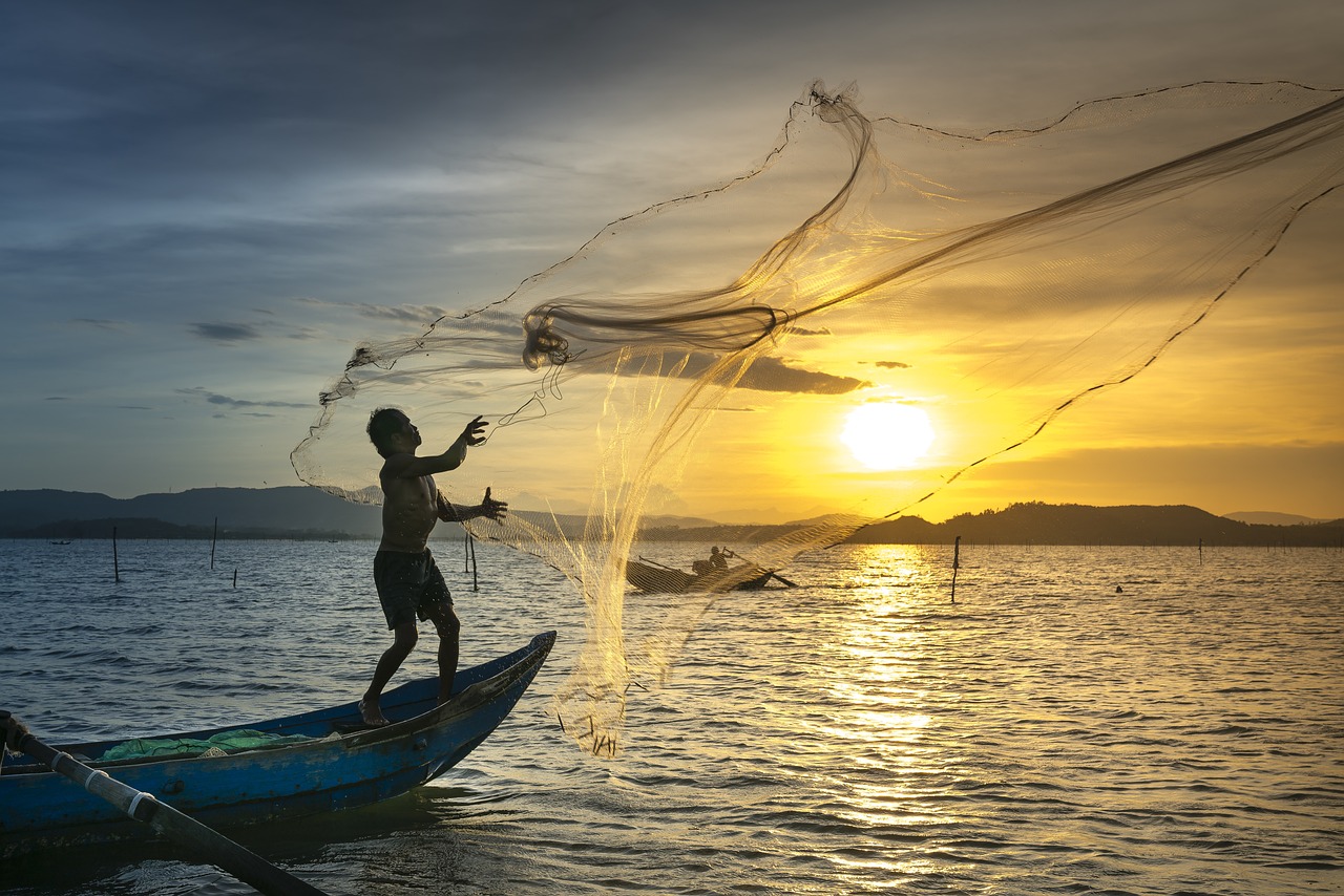 L’importance des pêches durables dans la préservation des océans