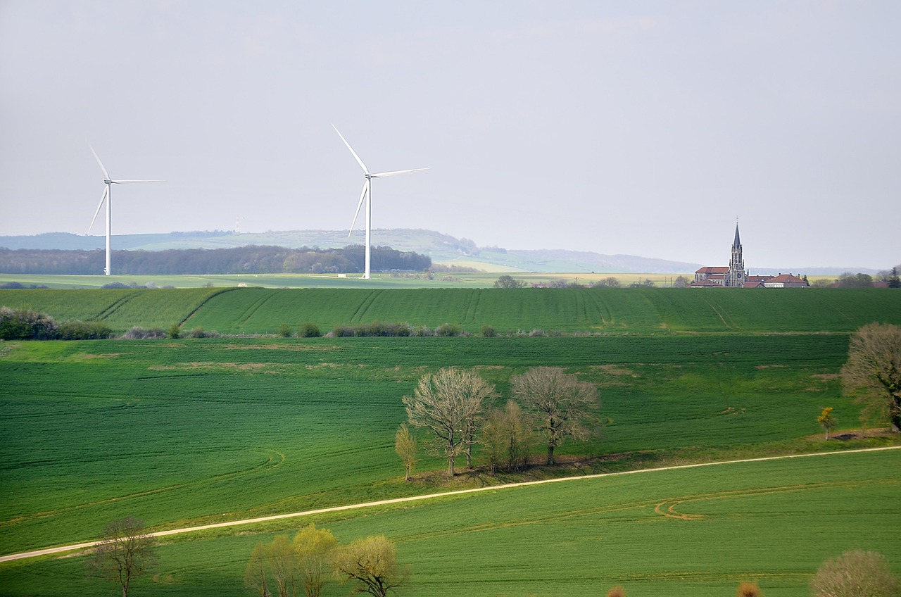 Vers un avenir écoresponsable : les clés du développement durable