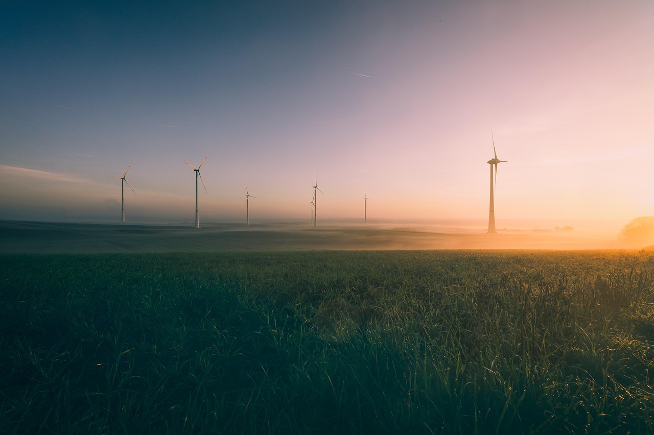 L’environnement à la une : toutes les nouveautés et actualités à connaître