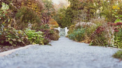 « Je laisse mon allée tranquille » : 3 astuces naturelles qui métamorphosent votre extérieur avant l’été