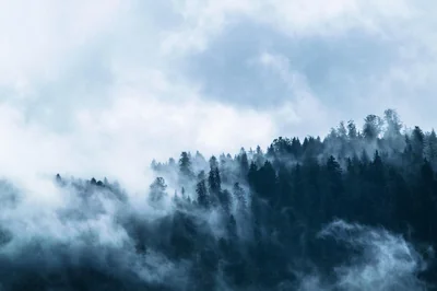 Forêts en Scène 2026 : animations gratuites à l’Académie du Climat pour célébrer la Journée mondiale des forêts