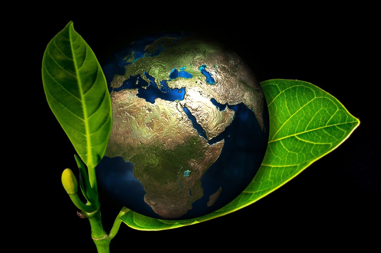 Analyse des responsabilités étatiques face au changement climatique : un regard prospectif de la Cour internationale de Justice