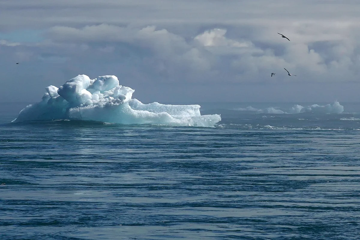 découvrez les causes, les impacts et les solutions du changement climatique pour agir en faveur de la planète et préserver notre avenir.