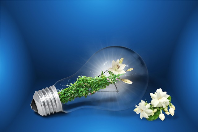 Économiser de l’énergie : astuces pour un quotidien plus vert
