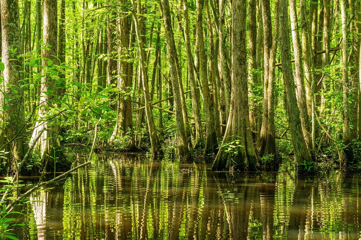 Le Conseil d’État annule un décret gouvernemental simplifiant la création de plans d’eau