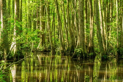 Le Conseil d’État annule un décret gouvernemental simplifiant la création de plans d’eau