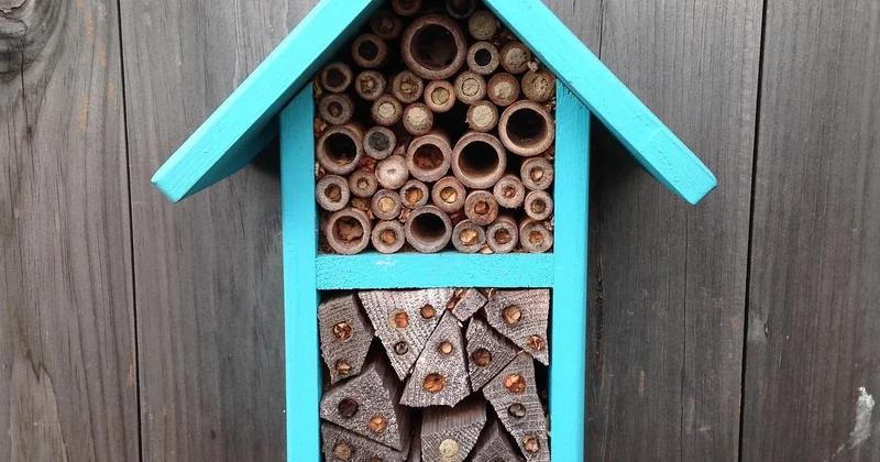 Qui sont vraiment les pollinisateurs de votre jardin