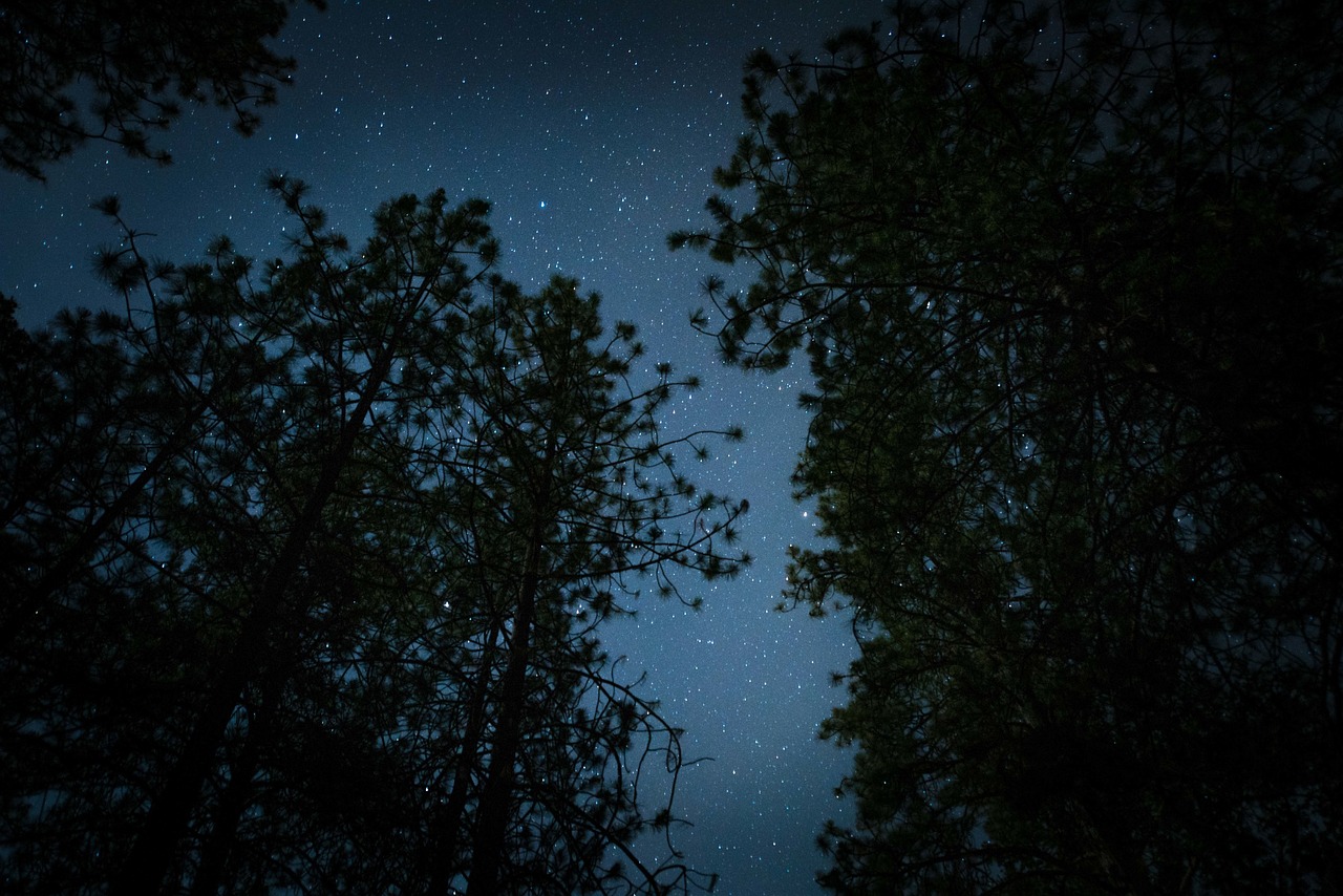 Séduire sous le ciel étoilé : Astuces des astronomes pour réussir votre rendez-vous romantique en plein air