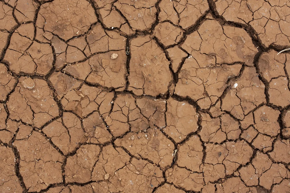 Changement climatique : quand la montée des températures freine notre activité physique