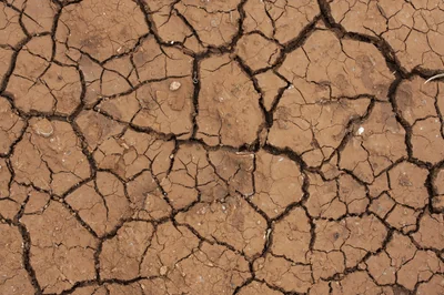 Changement climatique : quand la montée des températures freine notre activité physique