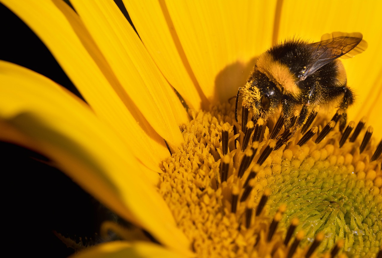 Participez à notre concours pour gagner le livre « Mon jardin s’adapte au changement climatique