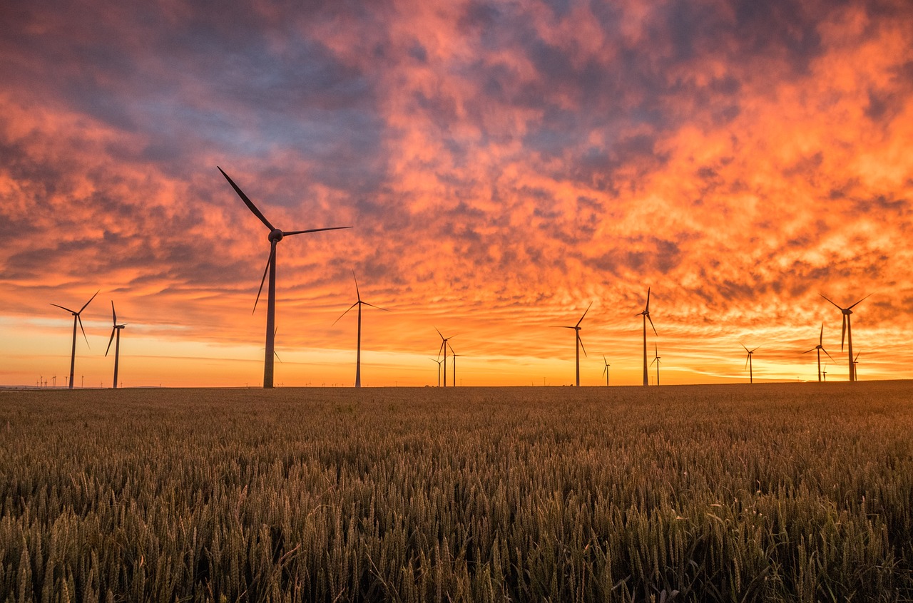 Énergies renouvelables : le pari d’un bilan carbone neutre