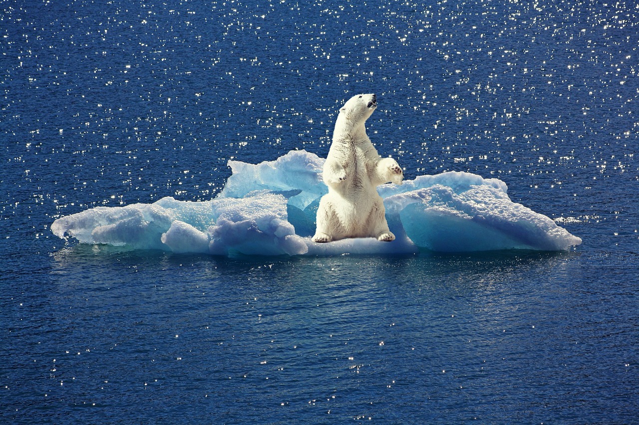 Mobilisation nationale pour la lutte contre le réchauffement climatique : un enjeu crucial depuis 2015