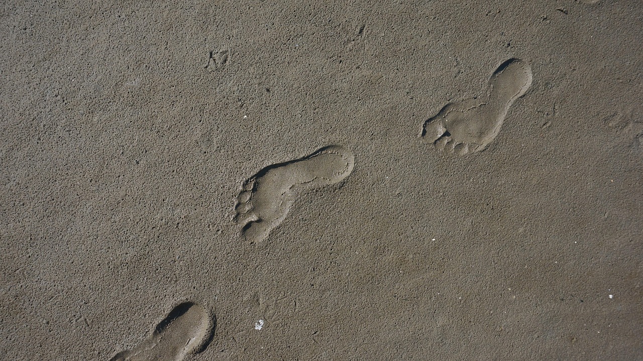 Les alliances internationales autour du bilan carbone