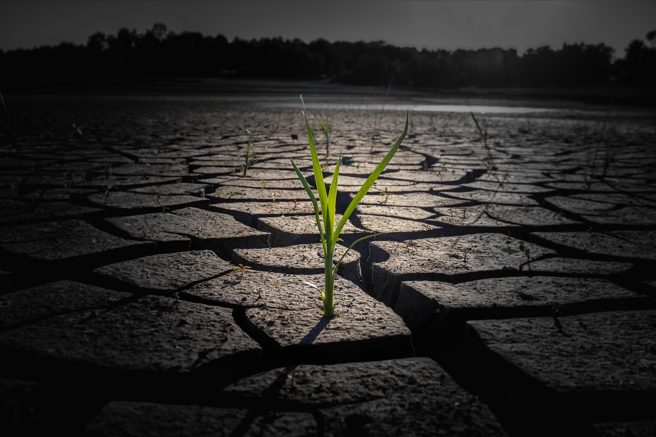 Anticiper les risques climatiques : Stratégies pour renforcer votre résilience face aux défis environnementaux