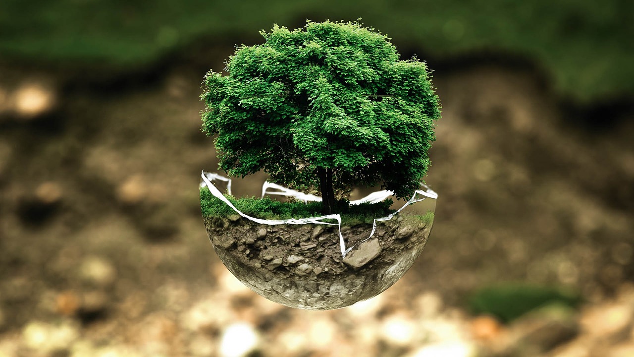 Évaluation environnementale : enjeux et méthodes pour un développement durable