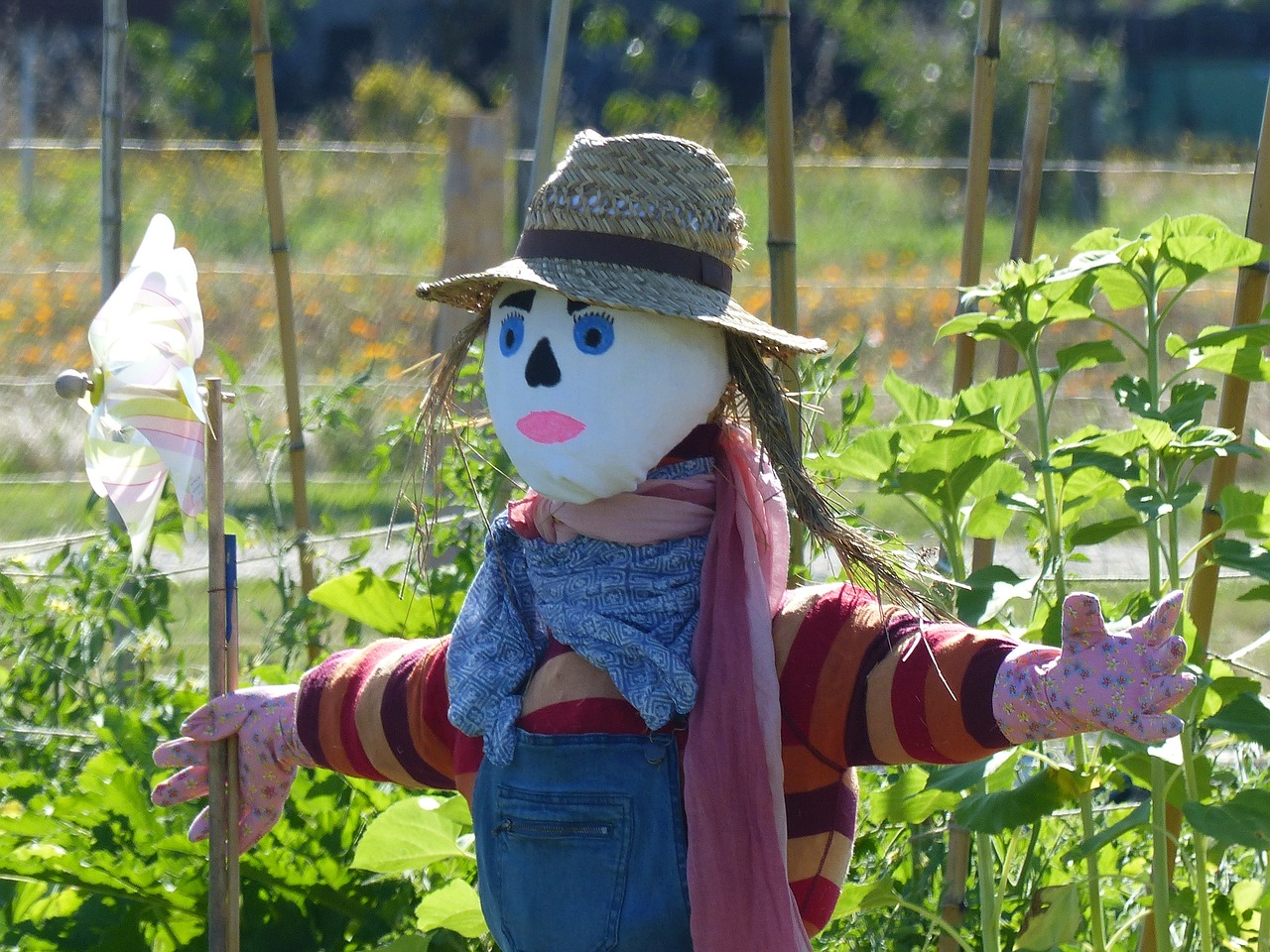 La permaculture : une méthode pour vivre en harmonie avec la nature