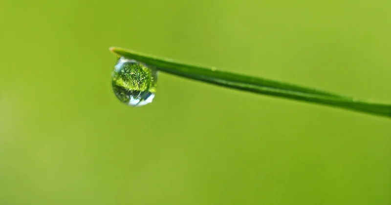 Eau potable, eaux grises, eau de pluie : où sont les limites