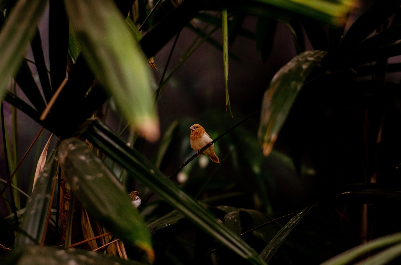 Comment amorcer la transition vers un habitat écologique