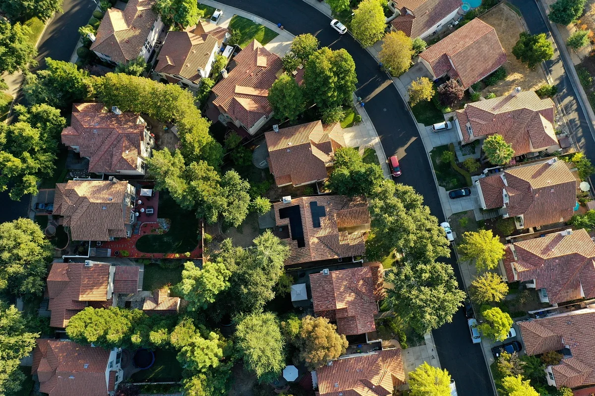 découvrez des solutions eco-friendly pour un mode de vie durable et respectueux de l