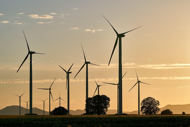 La décarbonation : une alliée essentielle pour une agriculture durable