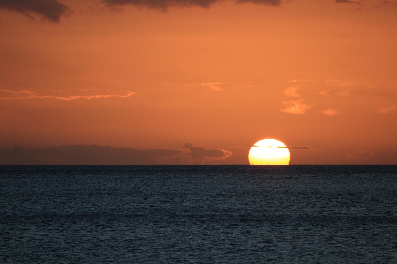Life Adapt’Island : la Guadeloupe en première ligne des solutions écologiques contre le changement climatique