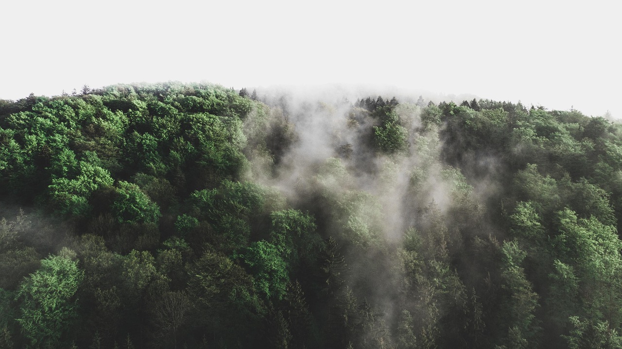 Mise à jour de la source – Environnement et Changement climatique Canada