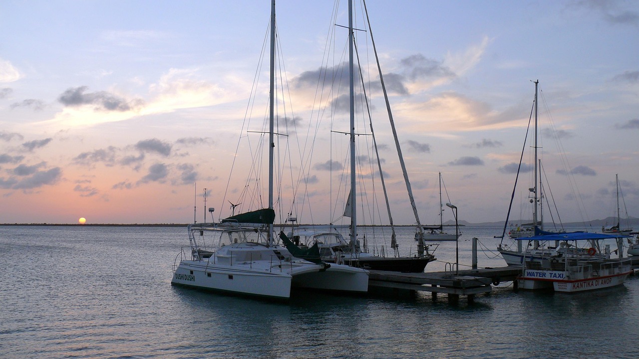 Les habitants de Bonaire en première ligne pour protéger leur île face au changement climatique