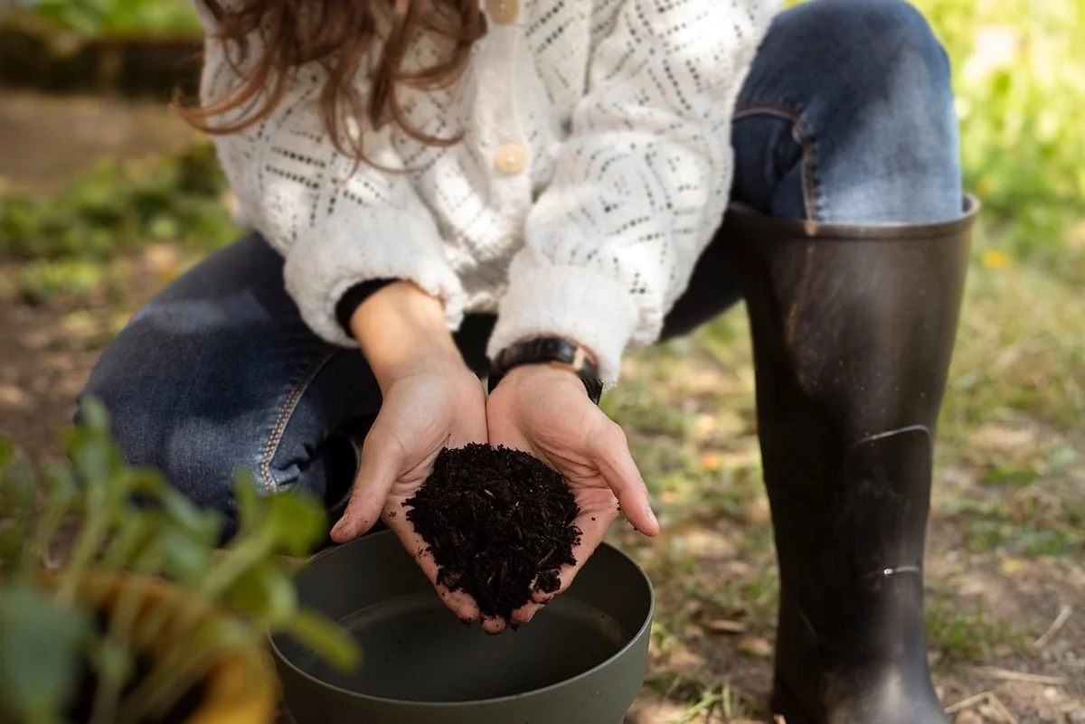 ENTRETIEN. Décarboner la chaîne alimentaire : un enjeu crucial pour l’écologie et l’économie