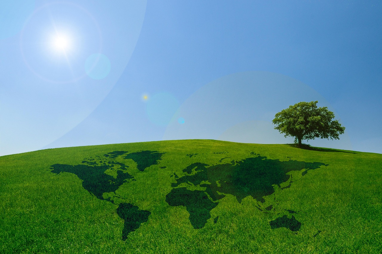 Évaluation environnementale : Comprendre son importance dans les projets de développement durable