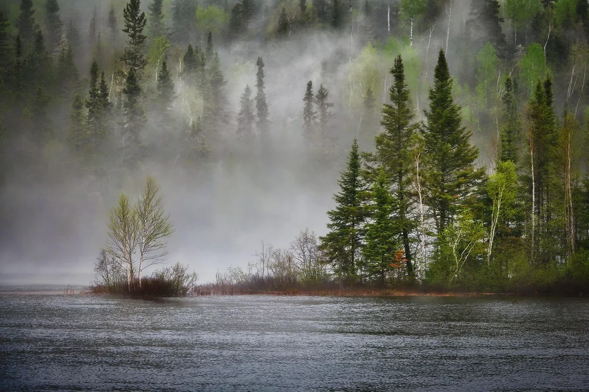 Quand la biodiversité locale agit sur le climat : le sens qu'on oublie