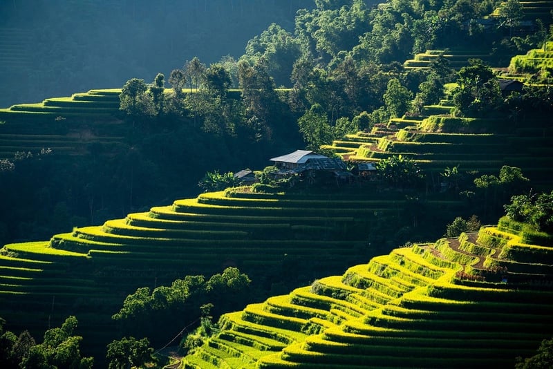 Impacts du changement climatique sur l'agriculture : 7 effets alarmants