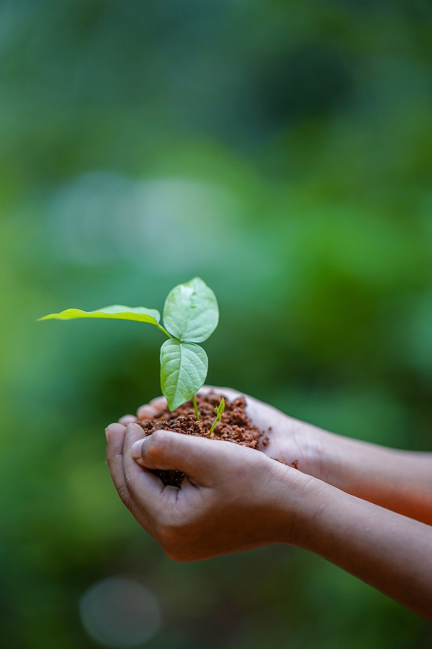 Célébrons la terre et notre climat : une journée de sensibilisation