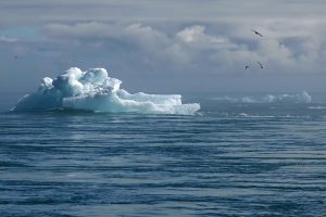 Changement climatique et agriculture : quels enjeux ?