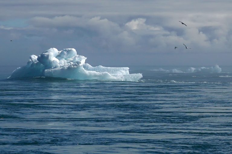 Comprendre les impacts du réchauffement climatique sur notre planète