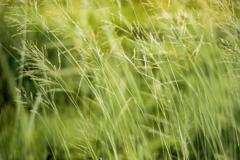 L’impact environnemental de l’IA : une pollution jusqu’à huit fois supérieure aux déclarations des grandes entreprises technologiques