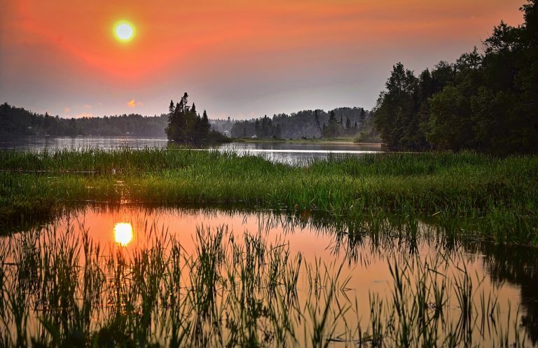 découvrez l'importance de la préservation des zones humides pour la biodiversité et l'écosystème. informez-vous sur les pratiques durables et les initiatives essentielles pour protéger ces environnements précieux et leur rôle dans la lutte contre le changement climatique.