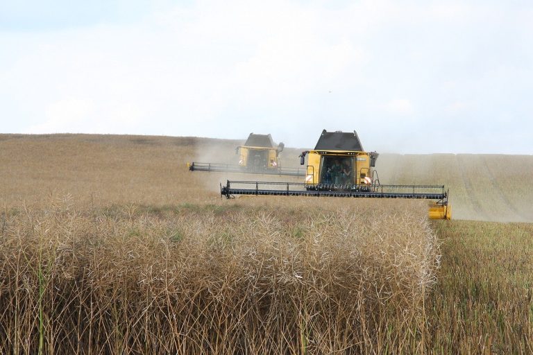 découvrez l'agriculture durable, une approche respectueuse de l'environnement qui allie production agricole et préservation des ressources. apprenez comment cette méthode favorise la biodiversité, réduit les émissions de carbone et assure une alimentation saine pour les générations futures.