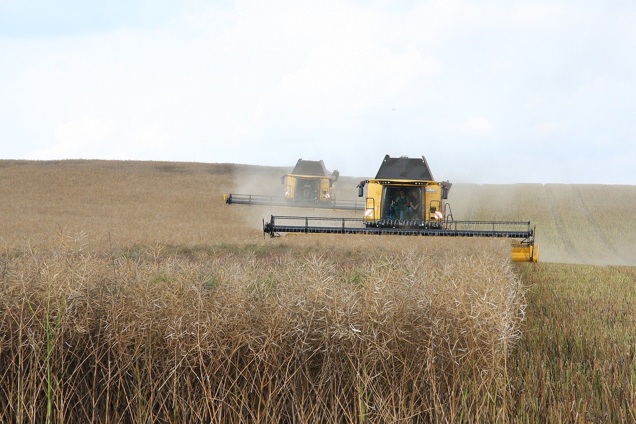 Vers une Agriculture Durable : Le Haut Conseil pour le Climat Plaide pour des Mesures Ambitieuses de Décarbonation