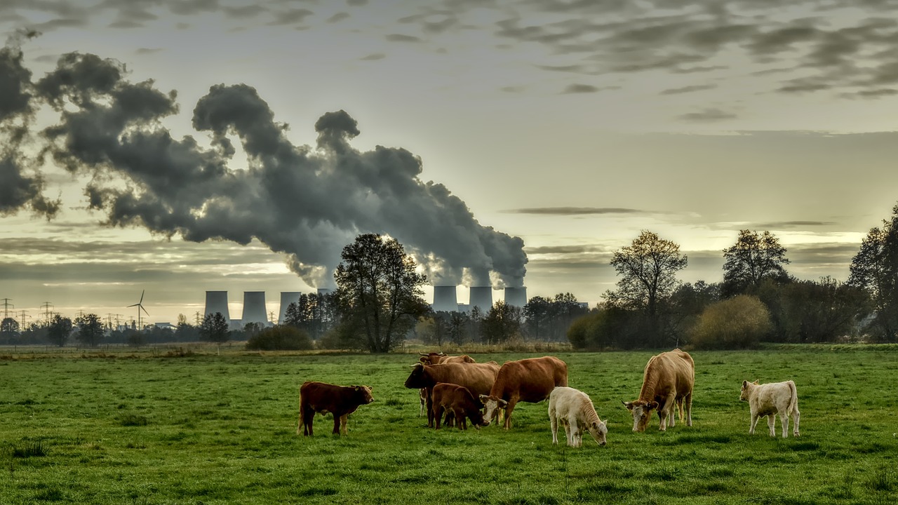 découvrez les causes et les effets de la pollution de l'air sur notre santé et notre environnement. informez-vous sur les solutions pour lutter contre ce fléau moderne et contribuer à un air plus pur.